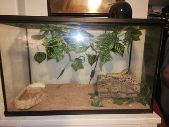 Reptile Tank 