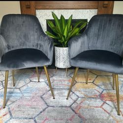 Modern Grey  Accent / Dining Chairs (Set of 2) 