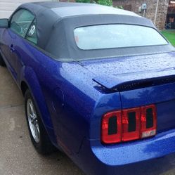 2005 Ford Mustang