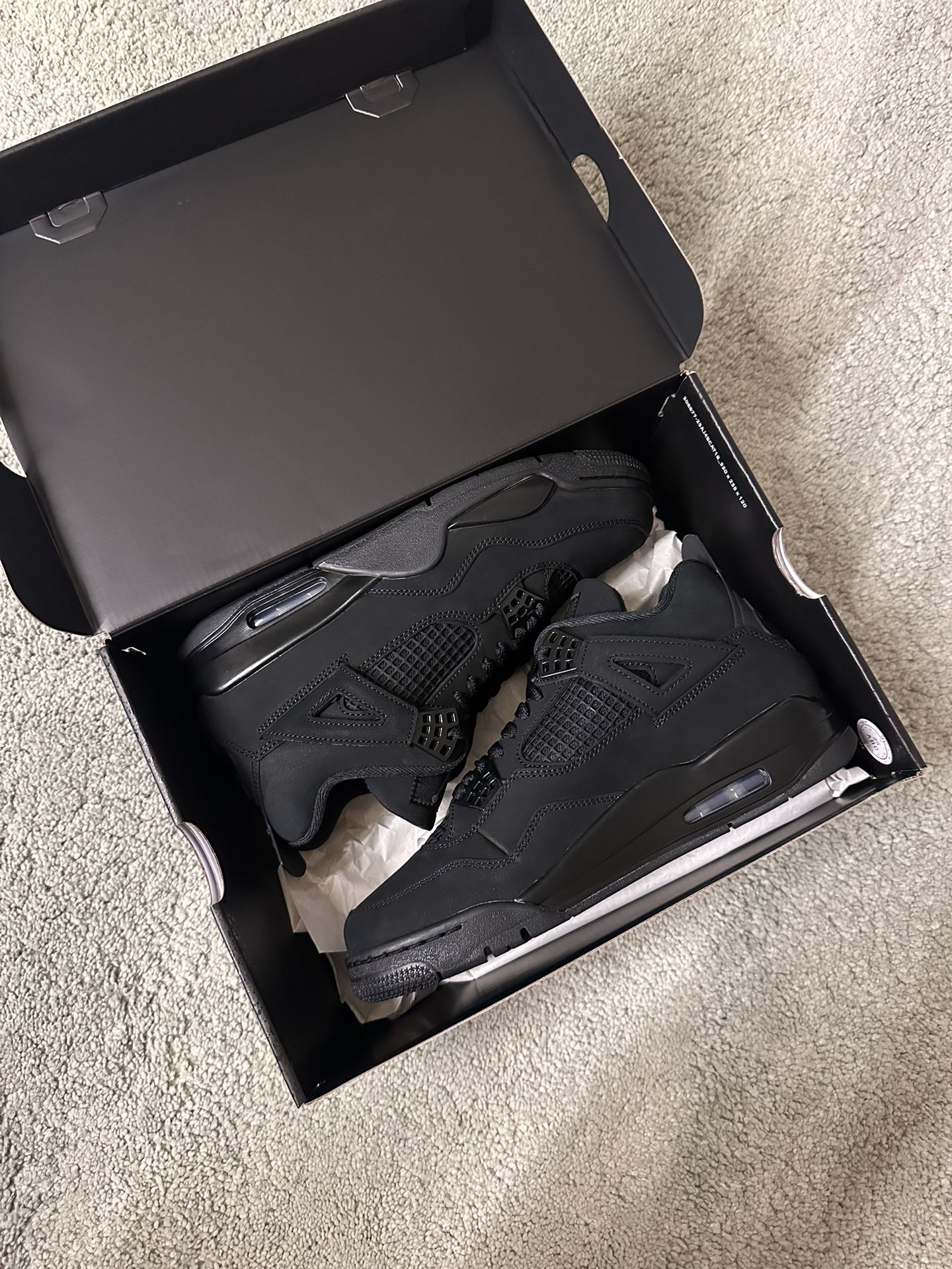 Jordan 4 Black Cat 