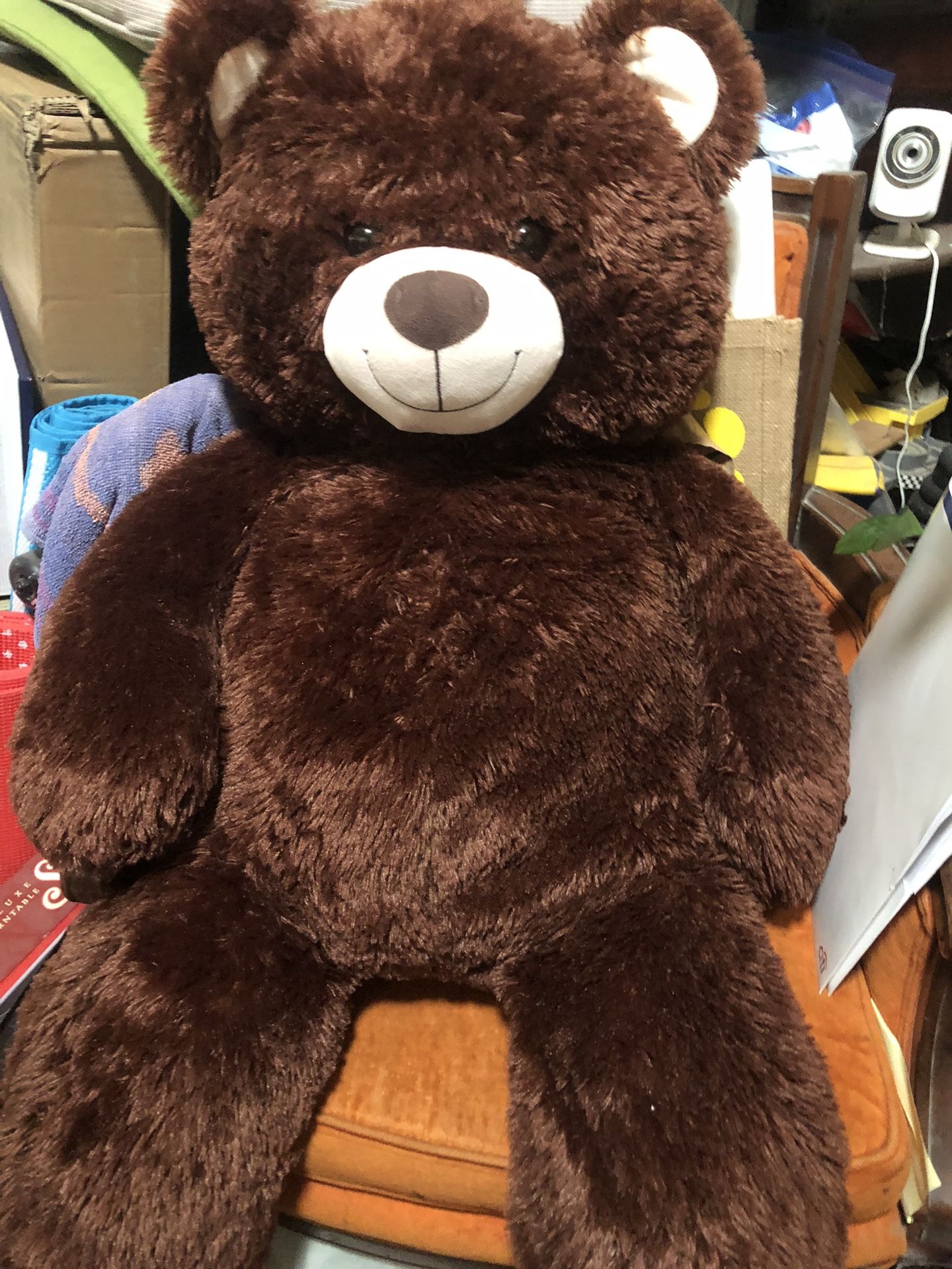 Teddy Bear