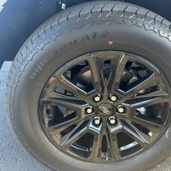 2025 F150 RIMS AND TIRES PLATINUM 