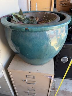 Turquoise blue tree pot