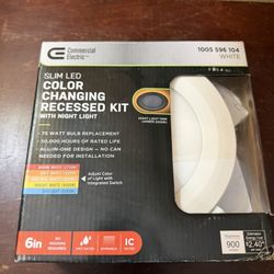 6 Inch Ceiling Light 