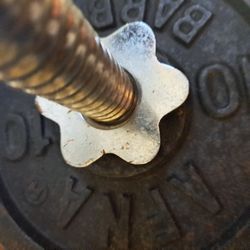 Weight Bench With Bar Bell Plates