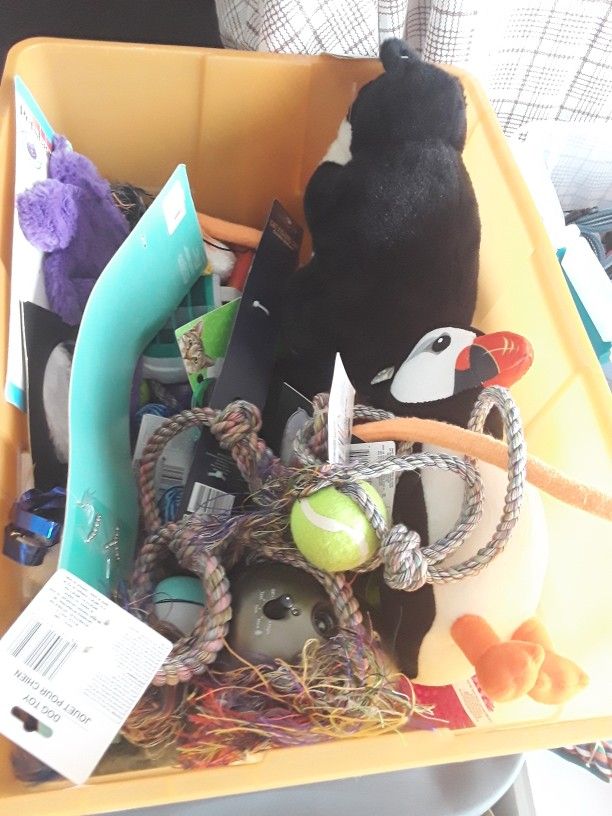 Brand New High Quality Dog/ Cat Toys Any 3 For Only Agreat Deal Of $5!!!! In Weeki Wachee Spring Hill4