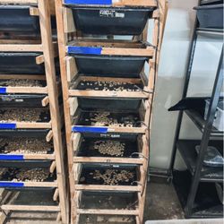 6 Tub Rodent/Rat Racks
