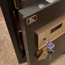 Tiger King Large Business Safe Black 3.7 Cubic Feet 63XH