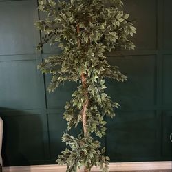 Ficus Tree , Artificial 