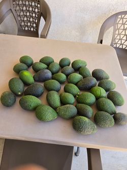 Avocados (34)