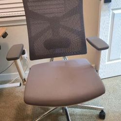 New Ergonomic Mesh Office Chair - 3D Adjustable Lumbar Support & 3D Armrests, V-Shaped Back, Adjust