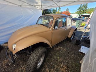 Baja Bug