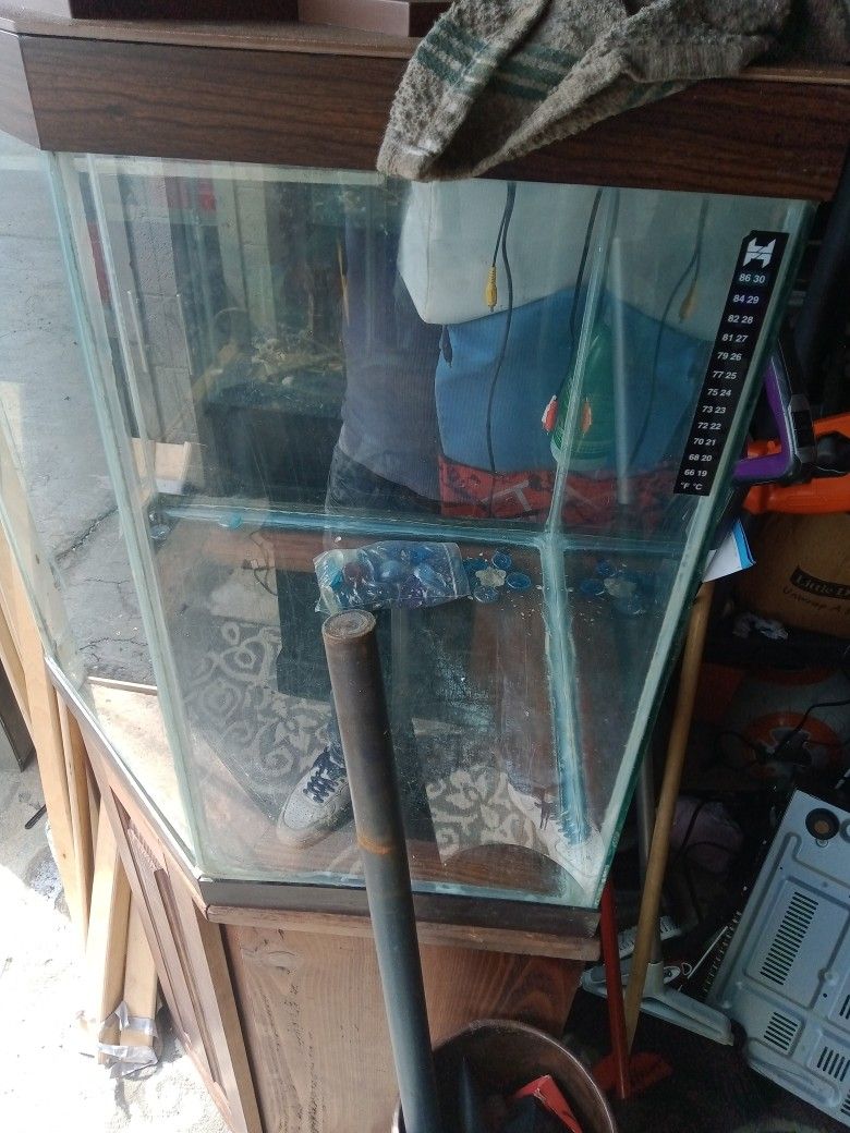 Fishtank With Syand