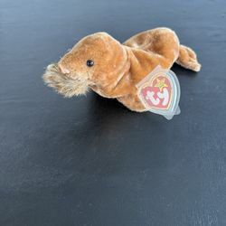 TY Beanie Baby Walrus Named Paul 