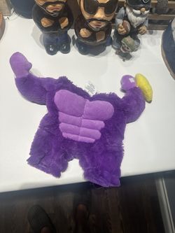 Pet Costume