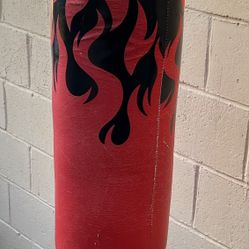 BOXING PUNCHING BAG
