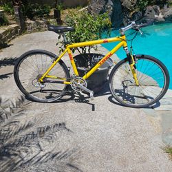 Trek 8000  street tires beach cruiser.