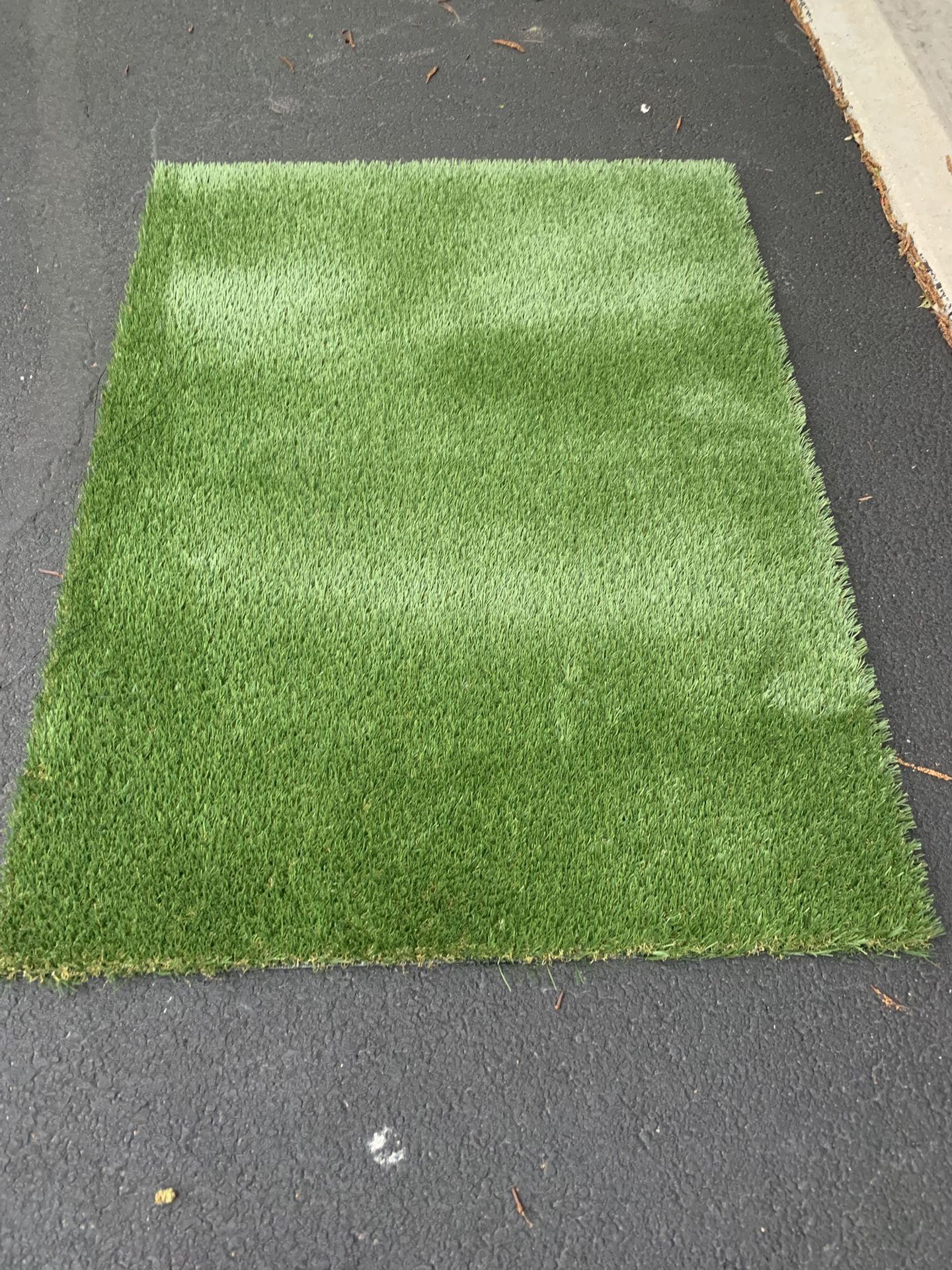 Grass Pad