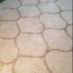 Extremely Soft & Cozy Rug