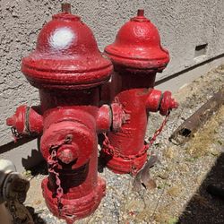 Decommissioned Fire Hydrants