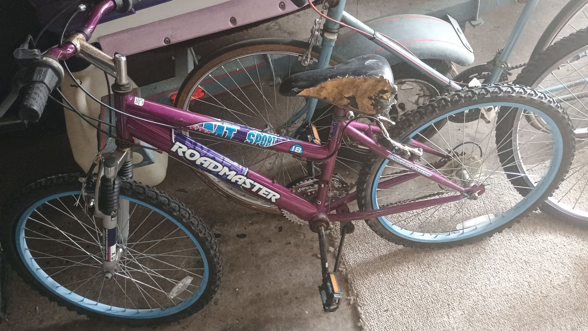 Mountain Bike
