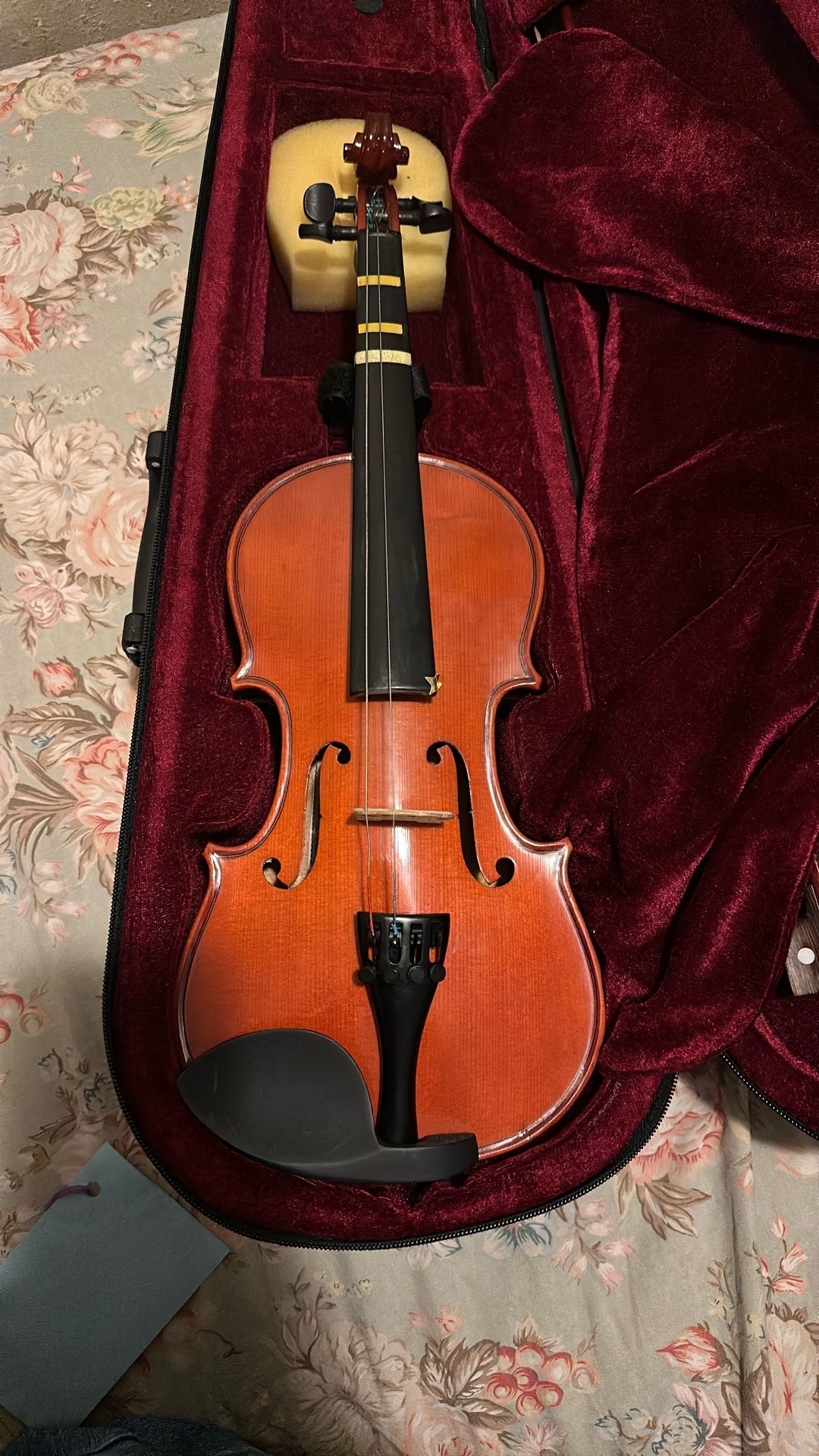 Violin