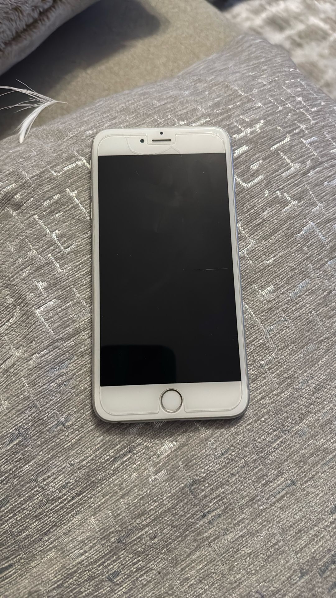 iPhone 6+