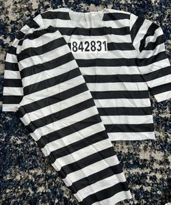 Adult Jailbird Costume