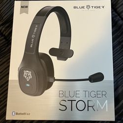 Blue Tiger Storm Head Set 