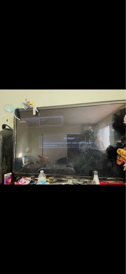 Samsung TV