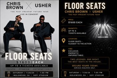Chris Brown Usher concert