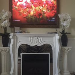 Electric Fireplace, Column, And Plants 