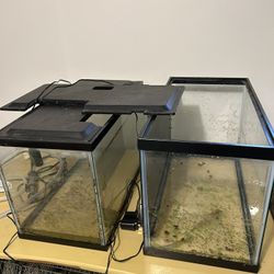 Fish Tank 