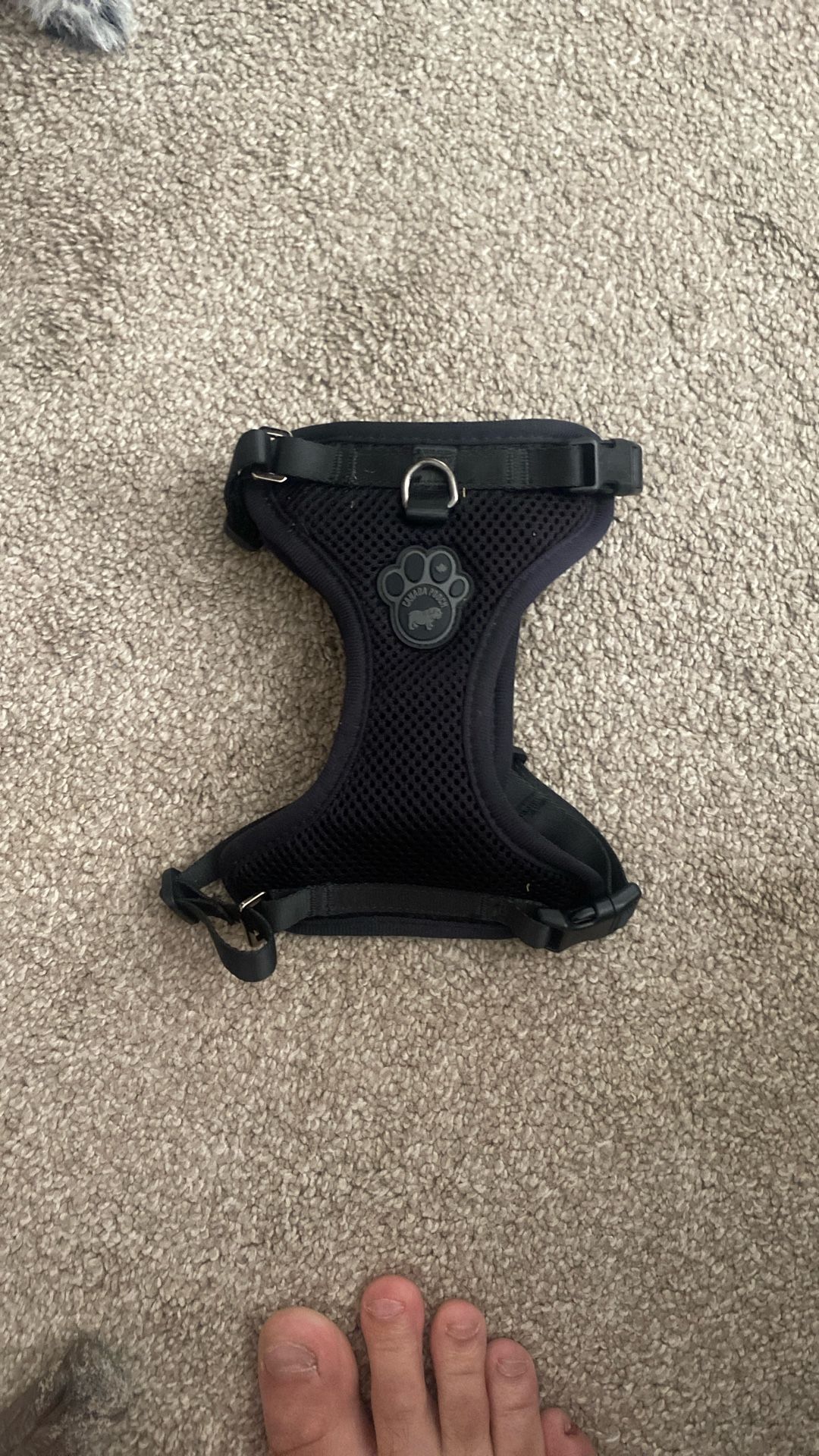 Canada Pooch Harness Size S