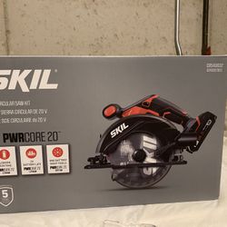 Skil 20v Circular Saw 