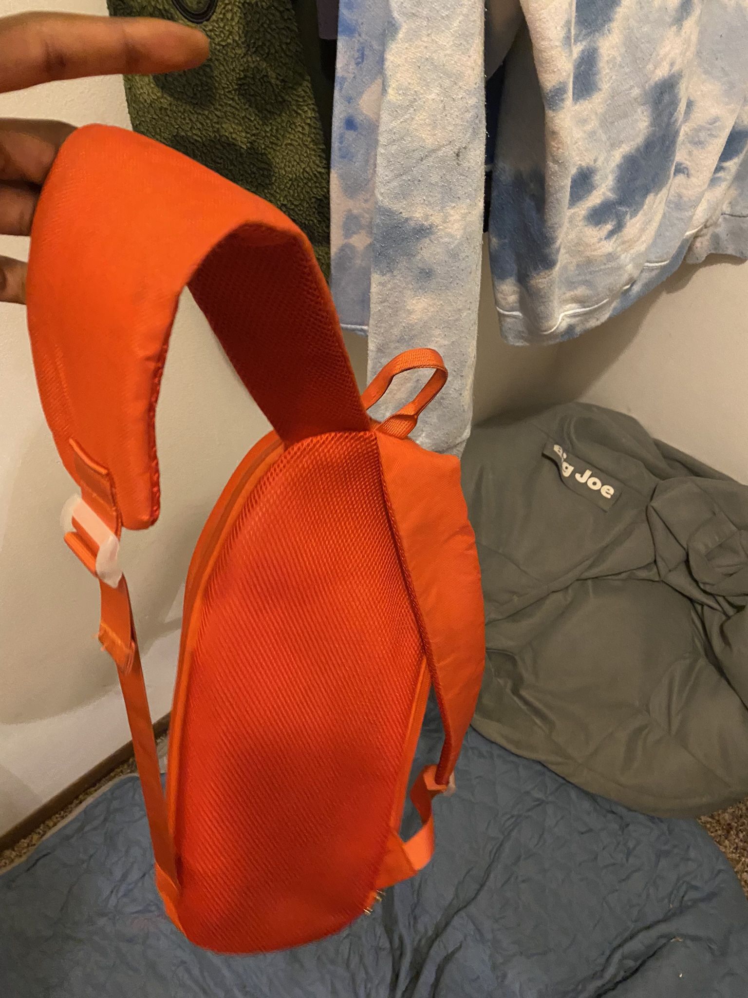 Nike Gucci Shoe Backpack 