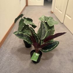 Artificial Plants  