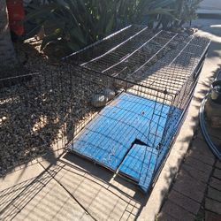 Extra Large Animal Kennel / Cage