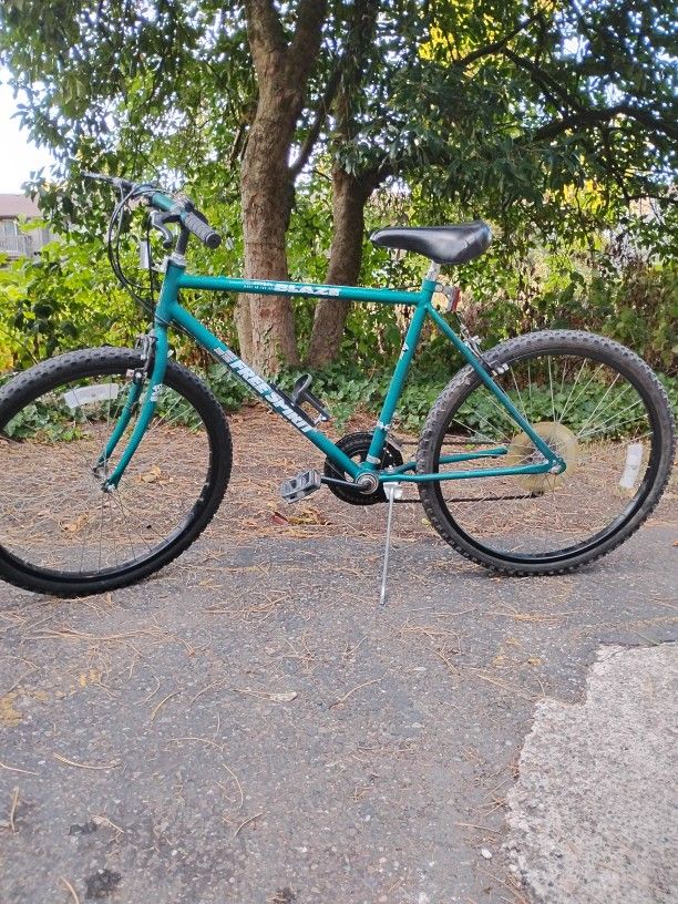 FREE SPIRIT/MOUNTAIN BLAZE BIKE