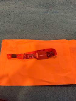 2 day VIP wasteland ticket