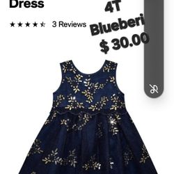 Bluebari Blue Dress 4T