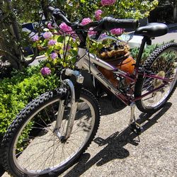For Sale: Diamondback Outlook Mountain Bike - WXX-Small, Ready to Ride!