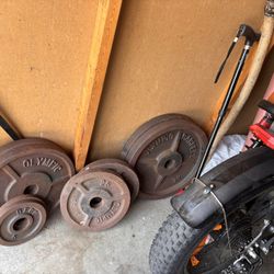 Olympic Weights 220lb Total