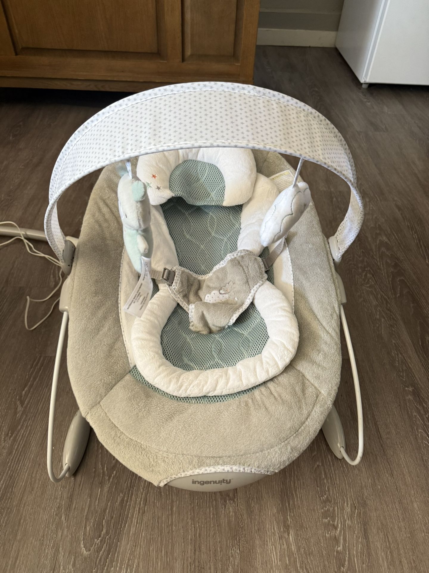 Ingenuity Bouncer $40