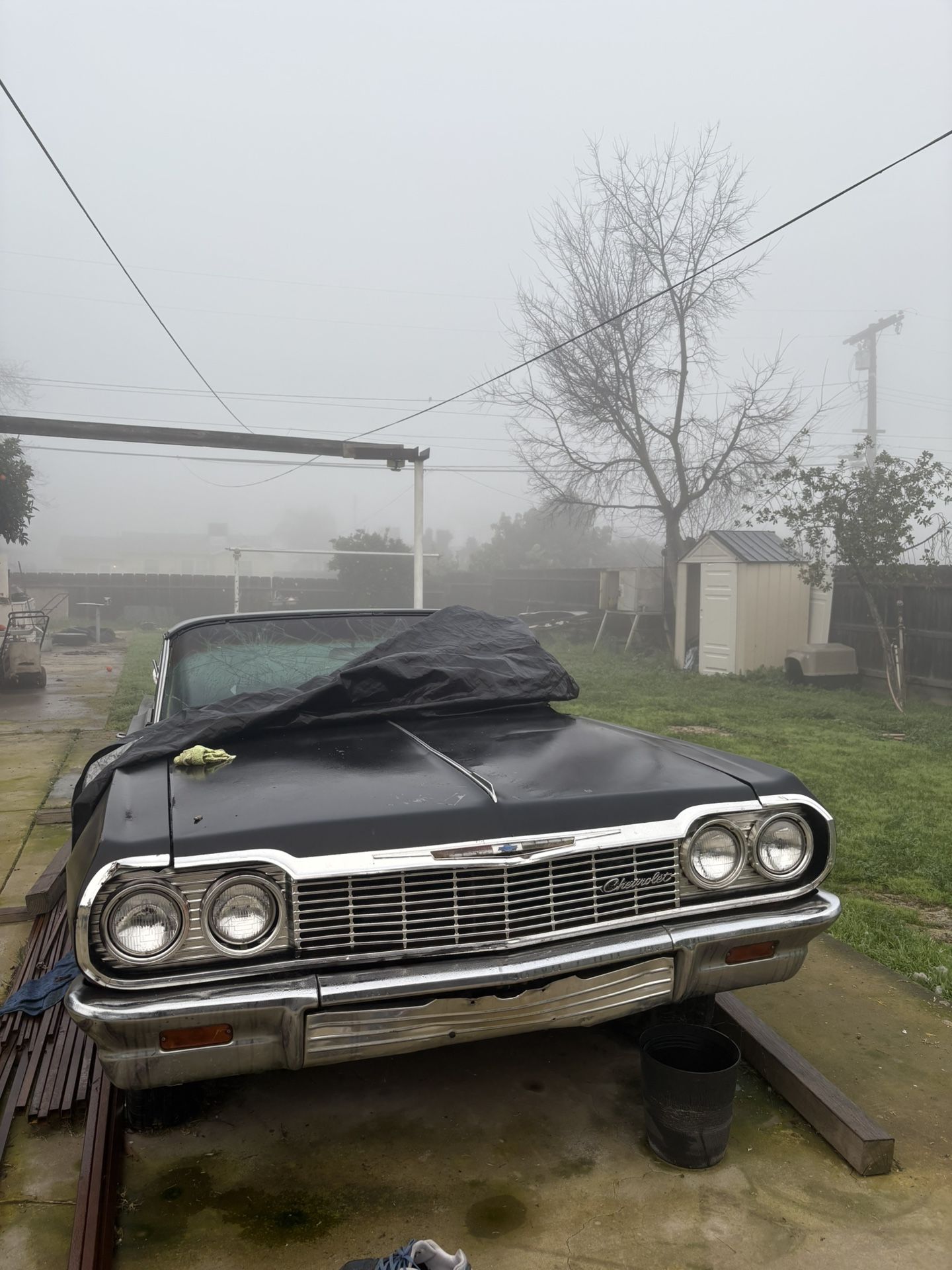 Surprising 64 Impala For Sale In California Photos