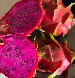 pink dragon fruit plant