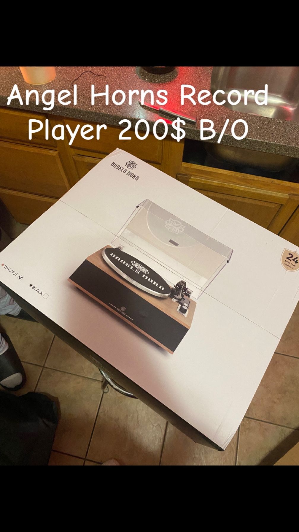 Angel Horns Record Player