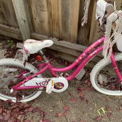 Girls Trek Bike