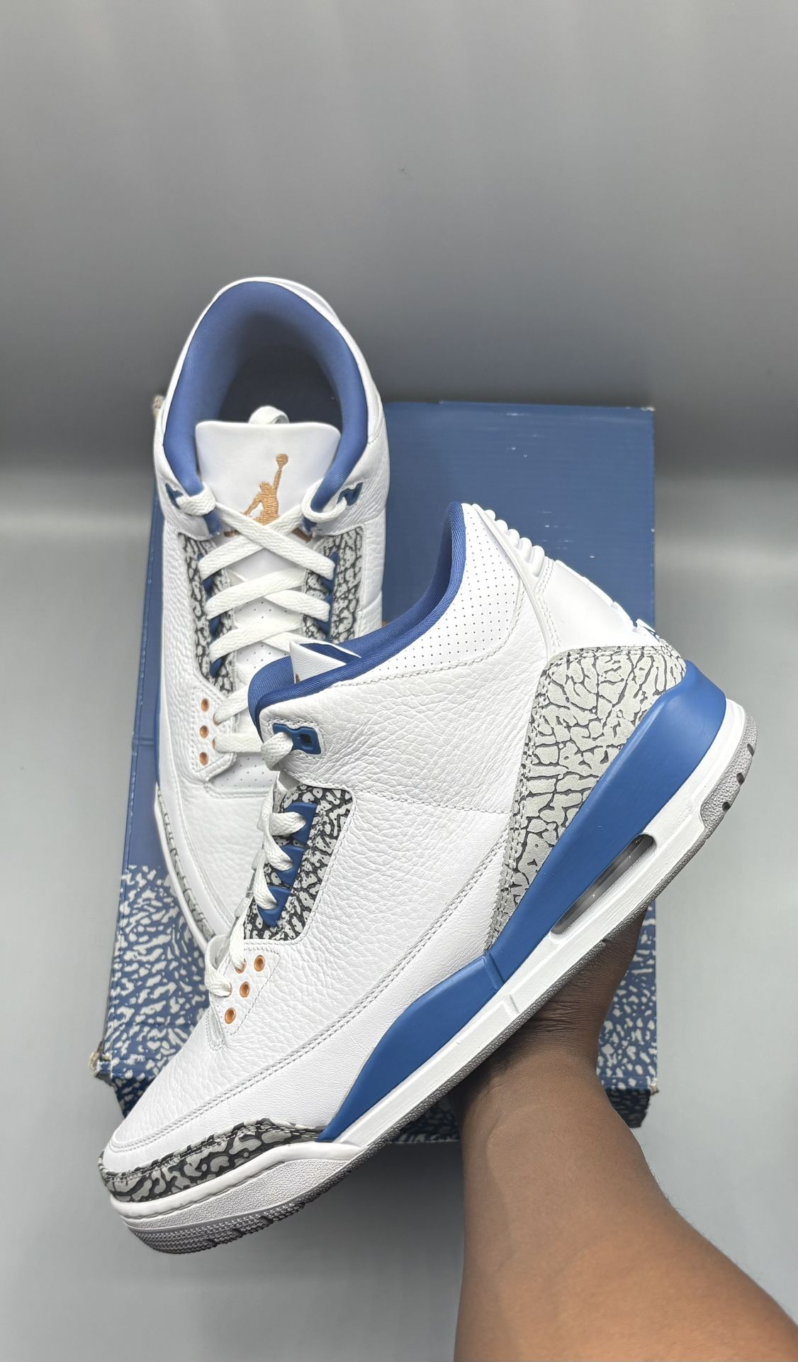 Jordan 3 Retro Wizards (Sz 12)