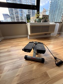 Sunny Mini Stepper And storage Box